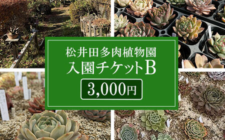 松井田多肉植物園チケットB（3,000円） ANAG003