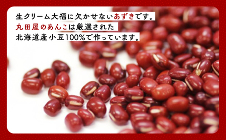 生クリーム大福25個セット ANQ015