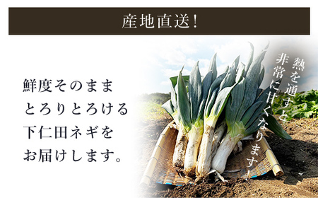 【先行予約】下仁田ネギ２L～３Lサイズ【4㎏】 ※数量限定　 ANAR001 / 下仁田ネギ ネギ ねぎ 葱 産地直送 しもにたねぎ しもにたネギ 下仁田ねぎ 下仁田葱 ねぎ焼き ねぎ焼 鍋 すき焼き すきやき 数量限定 冬の味覚 国産 群馬県産