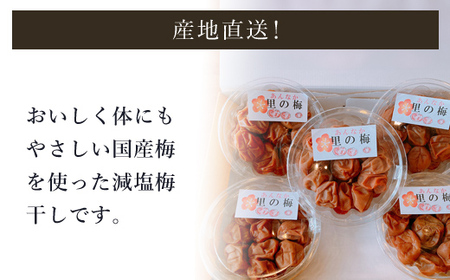 減塩梅干し【280g×5パック】 ANAR010