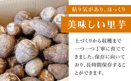 【先行予約】土づくりからこだわったほくほく里芋【５kg】 ※数量限定 ANAR003 / 数量限定 里芋 さといも 里いも サトイモ 冬の味覚 国産 群馬県産 先行予約