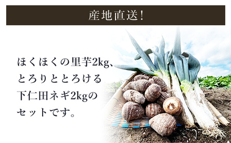 【先行予約】下仁田ネギ・里芋【各2kg】 ※数量限定 ANAR002 / 下仁田ネギ ネギ ねぎ 葱 産地直送 しもにたねぎ しもにたネギ 下仁田ねぎ 下仁田葱 ねぎ焼き ねぎ焼 鍋 すき焼き すきやき 数量限定 里芋 さといも 里いも サトイモ 冬の味覚 国産 群馬県産 先行予約