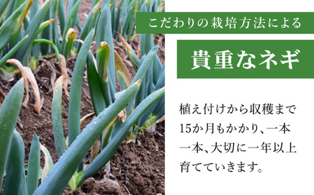 【先行予約】下仁田ネギ・里芋【各2kg】 ※数量限定 ANAR002 / 下仁田ネギ ネギ ねぎ 葱 産地直送 しもにたねぎ しもにたネギ 下仁田ねぎ 下仁田葱 ねぎ焼き ねぎ焼 鍋 すき焼き すきやき 数量限定 里芋 さといも 里いも サトイモ 冬の味覚 国産 群馬県産 先行予約