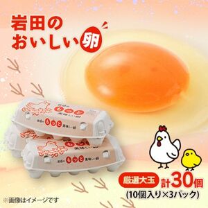 岩田のおいしい卵厳選大玉30個(10個入り×3パック)【配送不可地域：離島】【1039739】