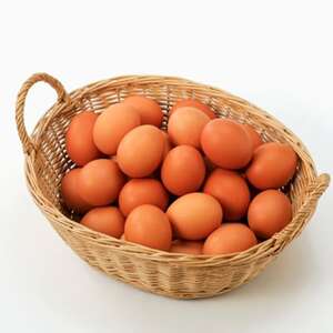 岩田のおいしい卵　小玉49個+破卵保障5個入り【配送不可地域：離島】【1077545】