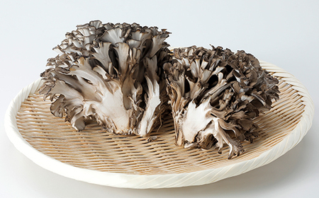 100日まいたけ 350g×2箱【配送不可地域：離島・沖縄県】【1429408】