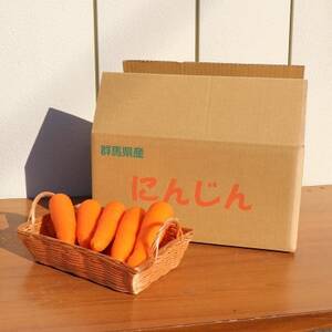 にんじん約10kg【配送不可地域:離島・沖縄県】【1478444】