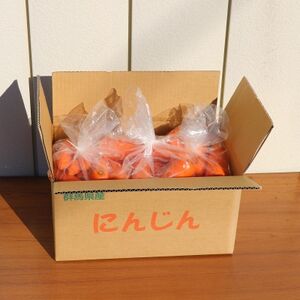 にんじん約10kg【配送不可地域:離島・沖縄県】【1478444】