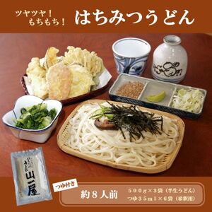 はちみつうどん500g×3袋 約8人前(半生うどん)【1125041】