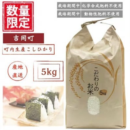 こしひかり(精米)【ミズサワ】令和7年産　低農薬　5kg【1669219】