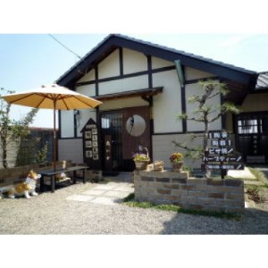 ろくろ陶芸体験一人一品＆ピザづくり窯焼体験ペアチケット【1305518】