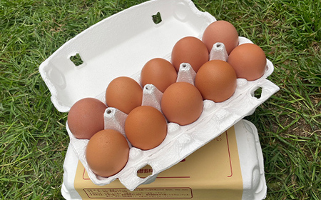 かわべさんちの平飼いたまご 25個（プラス割れ保障 5個） 計30個 卵 玉子 たまご 生卵 F21K-349