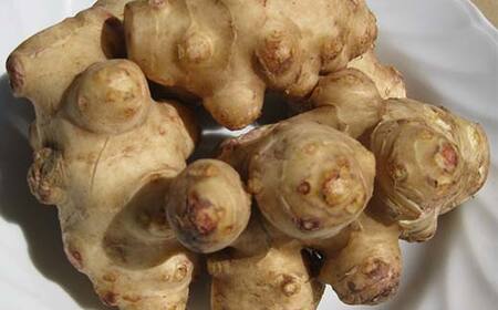 キクイモ健康酒 生キクイモ搾り液発酵酒 酒 アルコール 健康食品 食品 F21K-436