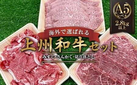海外で選ばれる上州和牛セット プロが肉市場で厳選! A5レベルの上州和牛セット(部位:みすじ・さんかく・切り落とし) 2.8kg以上 牛 牛肉 ビーフ 肉 食品 F21K-447