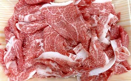 海外で選ばれる上州和牛セット プロが肉市場で厳選! A5レベルの上州和牛セット(部位:みすじ・さんかく・切り落とし) 2.8kg以上 牛 牛肉 ビーフ 肉 食品 F21K-447