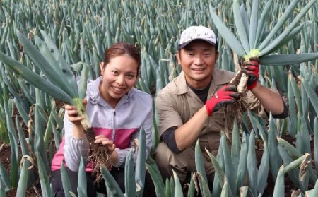 群馬県下仁田町 こんにゃくや野菜が絶品おかずに早変わり 柚子ふわり田楽味噌 1g 3個 F21k 117 群馬県下仁田町 ふるさと納税サイト ふるなび