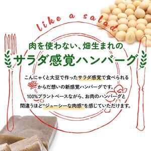 【原料は100％植物由来】こんにゃくと大豆で作ったサラダバーグ90g×10個 ダイエット こんにゃく 蒟蒻 大豆 おから 食物繊維 美肌 糖質制限 ローカロリー 糖質カット F21K-161