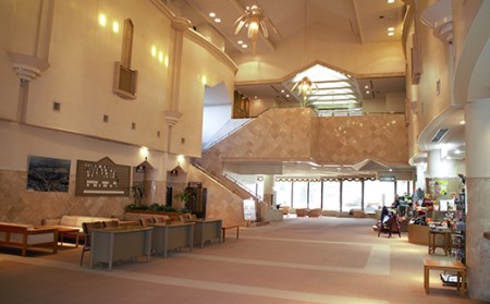 下仁田カントリークラブで使えるゴルフ利用券（9,000円相当）チケット 体験 健康 スポーツ ゴルフ券 群馬 F21K-202