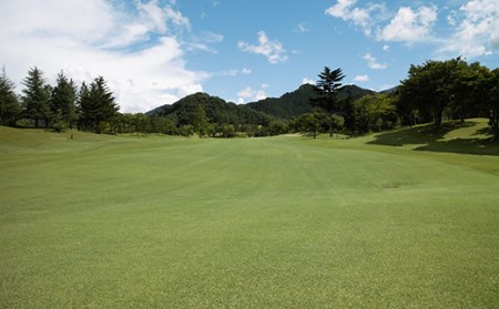 下仁田カントリークラブで使えるゴルフ利用券（90,000円相当）チケット 体験 健康 スポーツ ゴルフ券 群馬 F21K-209