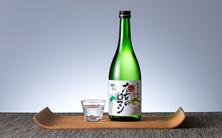 下仁田ねぎ焼酎と太古のロマン特別本醸造セット (720ml×2本) F21K-515