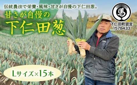 甘さが自慢の下仁田葱(Lサイズ20本) F21K-150