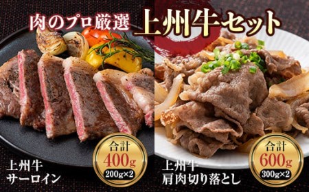 肉のプロが厳選 上州牛セット(サーロイン・切り落とし) 約1kg F21K-213
