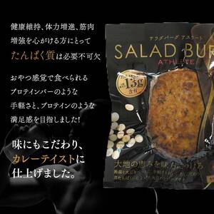 【原料は100%植物由来】サラダバーグ・アスリート（たんぱく質強化でカレー味）8個セット F21K-237