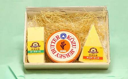 【神津牧場】 ジャージー牛の濃厚ミルクで作った発酵バター1つと熟成チェダーチーズとゴーダチーズ 各100gセット F21K-302