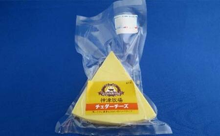 【神津牧場】ジャージー牛の濃厚ミルクで作った発酵バター1つと熟成チェダーチーズ100gセット F21K-304