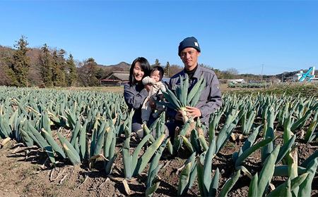 伝統栽培の下仁田ねぎ。寒い冬に最高のすき焼きを♪（L 24本） とろける 甘い ねぎ ネギ 王様ねぎ 殿様ねぎ 特産 栄養たっぷり ブランド 上州ねぎ すきやき F21K-335