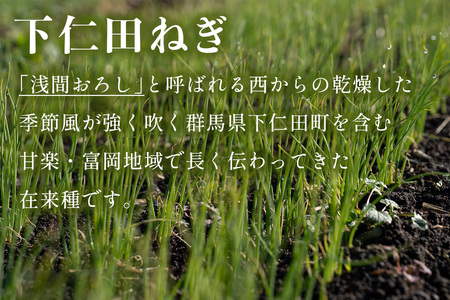 [有機JAS認証] オーガニック下仁田ネギ (4kg、20本程度)｜数量限定 有機栽培 下仁田ねぎ 鍋 すき焼き 葱 殿様ねぎ 冬ギフト 贈答 御歳暮 お歳暮 かき揚げ 産地直送 甘楽町 先行予約 [0175]