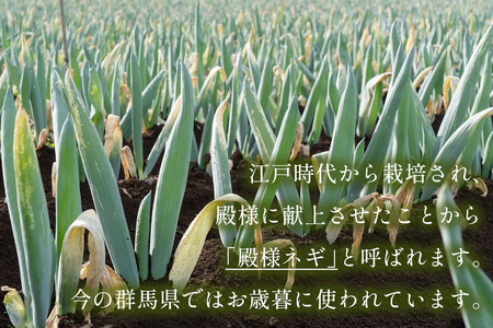 [有機JAS認証] オーガニック下仁田ネギ (4kg、20本程度)｜数量限定 有機栽培 下仁田ねぎ 鍋 すき焼き 葱 殿様ねぎ 冬ギフト 贈答 御歳暮 お歳暮 かき揚げ 産地直送 甘楽町 先行予約 [0175]