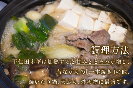 [有機JAS認証] オーガニック下仁田ネギ (4kg、20本程度)｜数量限定 有機栽培 下仁田ねぎ 鍋 すき焼き 葱 殿様ねぎ 冬ギフト 贈答 御歳暮 お歳暮 かき揚げ 産地直送 甘楽町 先行予約 [0175]