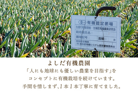 [有機JAS認証] オーガニック下仁田ネギ (4kg、20本程度)｜数量限定 有機栽培 下仁田ねぎ 鍋 すき焼き 葱 殿様ねぎ 冬ギフト 贈答 御歳暮 お歳暮 かき揚げ 産地直送 甘楽町 先行予約 [0175]