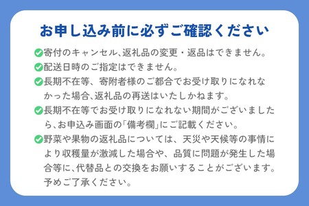 有機栽培キウイフルーツ (約2kg) [黒澤農園] 12月中旬より順次発送｜数量限定 期間限定 キウイ ヘイワード 果物 果実 フルーツ 農家直送 産地直送 有機栽培 国産 甘楽町産 群馬県産 [0245]