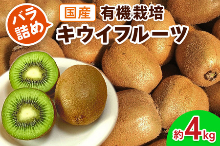 有機栽培キウイフルーツ (約4kg／バラ詰め)[黒澤農園]｜数量限定 期間限定 キウイ ヘイワード 果物 果実 フルーツ 農家直送 産地直送 有機栽培 国産 甘楽町産 群馬県産 [0307]