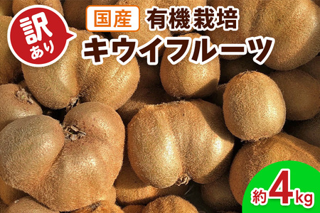 [訳あり] 有機栽培キウイフルーツ (約4kg)[黒澤農園]｜数量限定 期間限定 キウイ ヘイワード 果物 果実 フルーツ 農家直送 産地直送 有機栽培 国産 甘楽町産 群馬県産 訳あり品 [0305]
