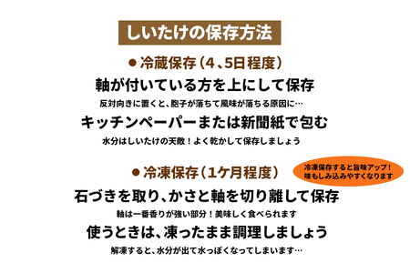 [2024年12月より順次発送] 原木 生しいたけ 1kg｜シイタケ 椎茸 国産 産地直送 おんだファーム 甘楽町 先行予約 [0185]