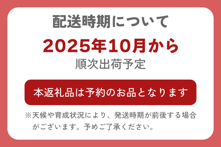 渋柿 (蜂屋柿) [2025年10月より順次発送]【黒澤農園】｜干し柿用 かき カキ フルーツ 秋の味覚 農家直送 国産 甘楽町 数量限定 先行受付 [0257]
