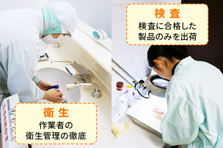 パスタ 10袋セット 計5kg (スパゲッティゴールド 500g×10袋)｜大容量 太麺 コルノマカロニー スパゲティ スパゲッティ パスタ 乾麺 麺 備蓄 保存食 国内製造 デュラムセモリナ [0280]