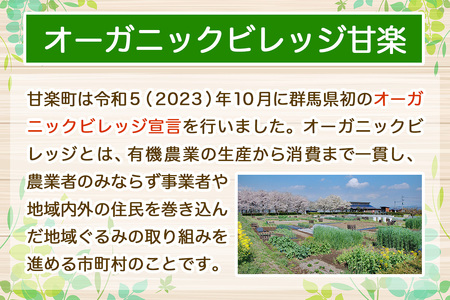 [返礼品なし] 群馬県甘楽町 オーガニックビレッジ 有機農業の産地づくり推進支援 応援寄附金千円 [0337]