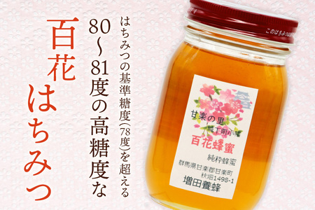 増田養蜂の百花はちみつ (600g)「KANRAブランド認定商品」｜国産 純粋はちみつ 蜂蜜 ハチミツ 無添加 瓶 セット ハニー 産地直送 甘楽町 群馬県 [0213]