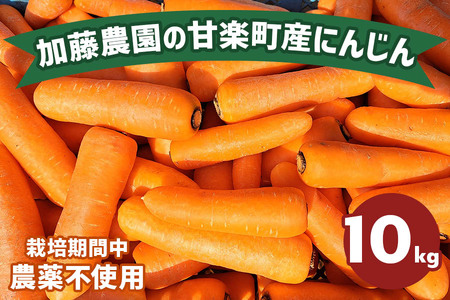 産地直送！加藤農園の甘楽町産にんじん 10kg｜人参 ニンジン 野菜 キャロット 国産 新鮮 農家直送 産地直送 煮物 かき揚げ 甘楽町 数量限定 期間限定 [0317]