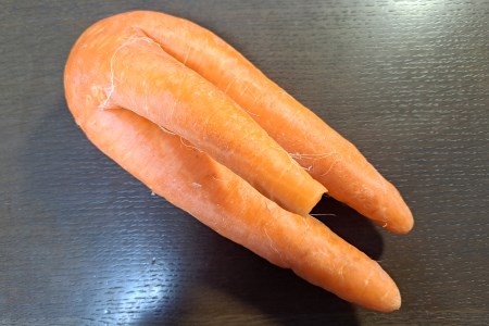 [産地直送！訳あり] 加藤農園の甘楽町産にんじん 10kg｜訳あり品 人参 ニンジン 野菜 キャロット 国産 新鮮 農家直送 産地直送 煮物 かき揚げ 甘楽町 数量限定 期間限定 [0318]