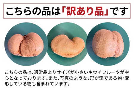 [訳あり] ちっちゃなキウイフルーツ (約4kg) 有機栽培 [黒澤農園]｜数量限定 期間限定 キウイ ヘイワード 果物 果実 フルーツ 農家直送 産地直送 有機栽培 国産 甘楽町産 群馬県産 訳あり品 [0306]