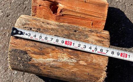 長野原町産 タンコロ薪（約16kg） 段ボール配送【キャンプ アウトドア たき火 ソロキャン 群馬県 長野原町 北軽井沢】