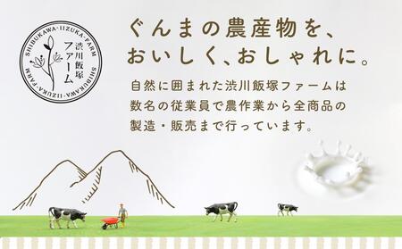 やんば地ミルクアイスセット【スイーツ デザート 詰め合わせ 詰合せ ギフト おすすめ 群馬県 長野原町 北軽井沢】