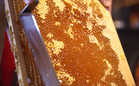 群馬県産「生はちみつ」毎日満足セット【蜂蜜 ハチミツ ギフト 詰合せ 詰め合わせ おすすめ 群馬県 長野原町 北軽井沢】