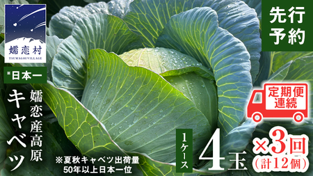 《 先行予約 》定期便 嬬恋 高原 キャベツ 4玉 1ケース 2024年7月発送開始 3ヶ月連続 嬬恋キャベツ きゃべつ 産地直送 群馬 お取り寄せ 野菜 セット Lサイズ [AS004tu]