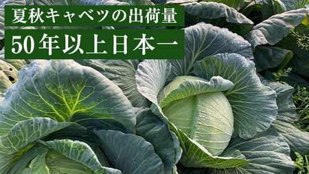 《 先行予約 》定期便 嬬恋 高原 キャベツ 4玉 1ケース 2024年7月発送開始 3ヶ月連続 嬬恋キャベツ きゃべつ 産地直送 群馬 お取り寄せ 野菜 セット Lサイズ [AS004tu]